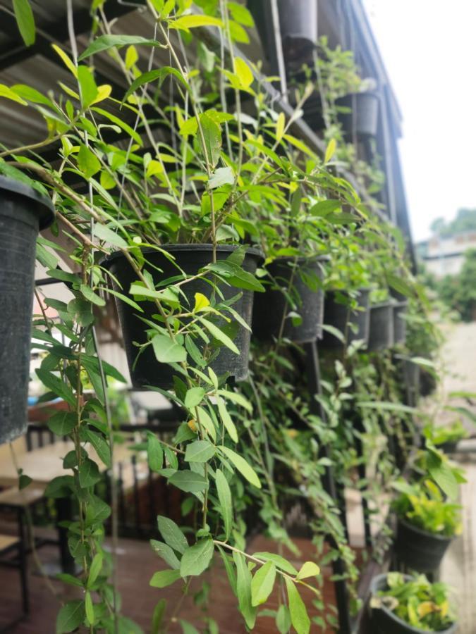 Nai Wiang Poshtel Hostel Chiang Mai Luaran gambar